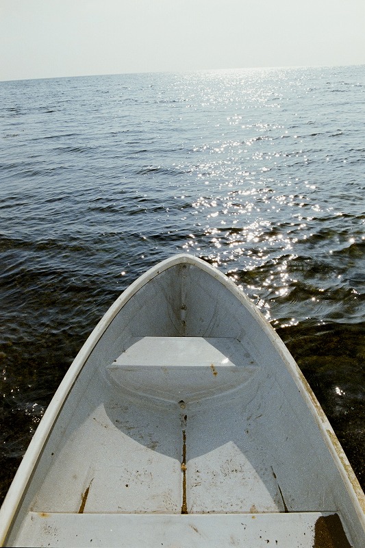 DAIRIKU(ダイリク)